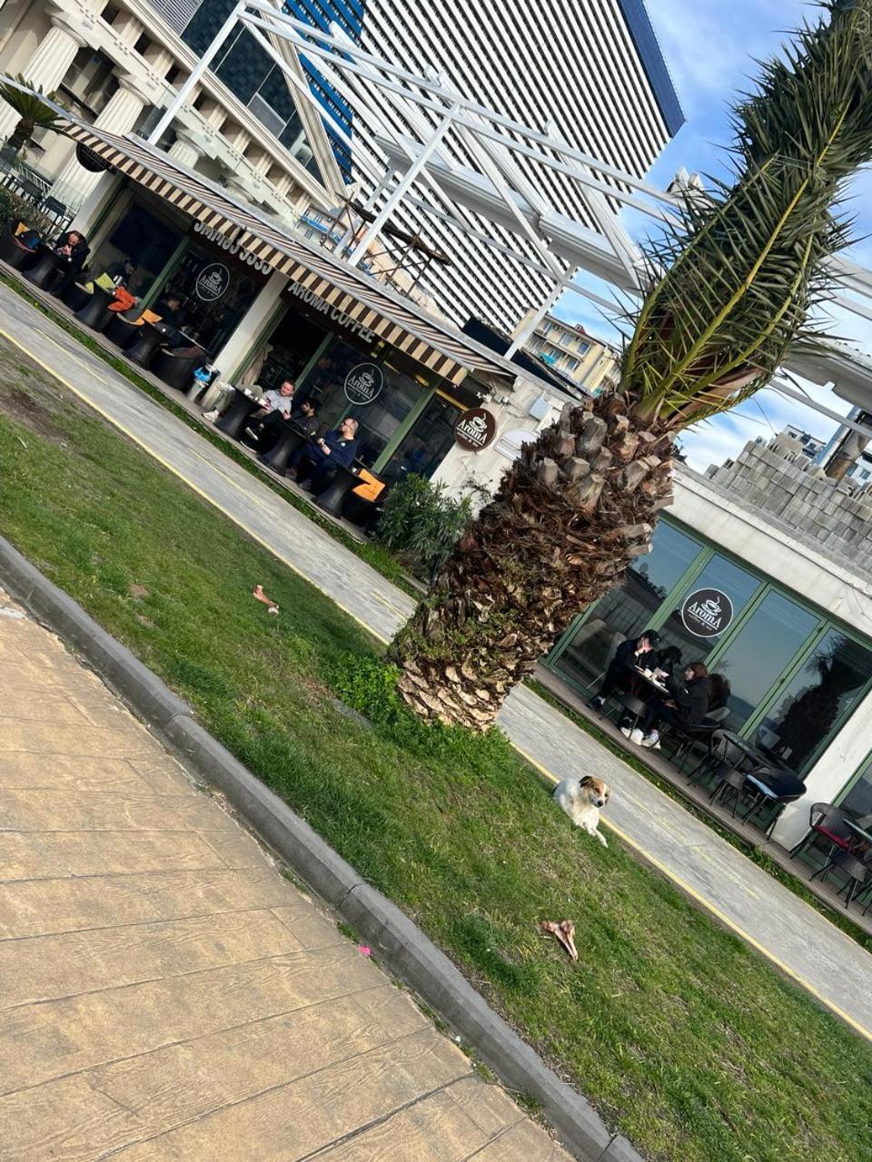 Hotel Paris Batumi Eksteriør bilde